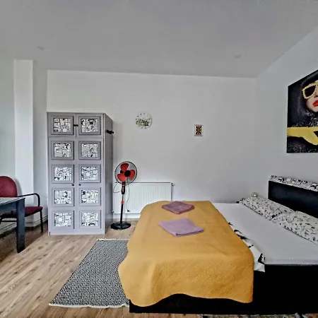 Modern Central Studio Braşov
